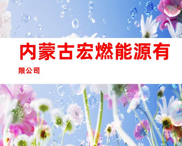 内蒙古宏燃能源有限公司